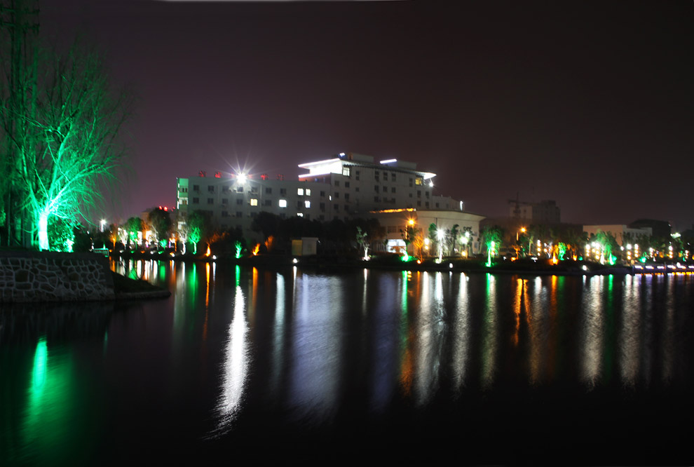 IMG_4037.jpg