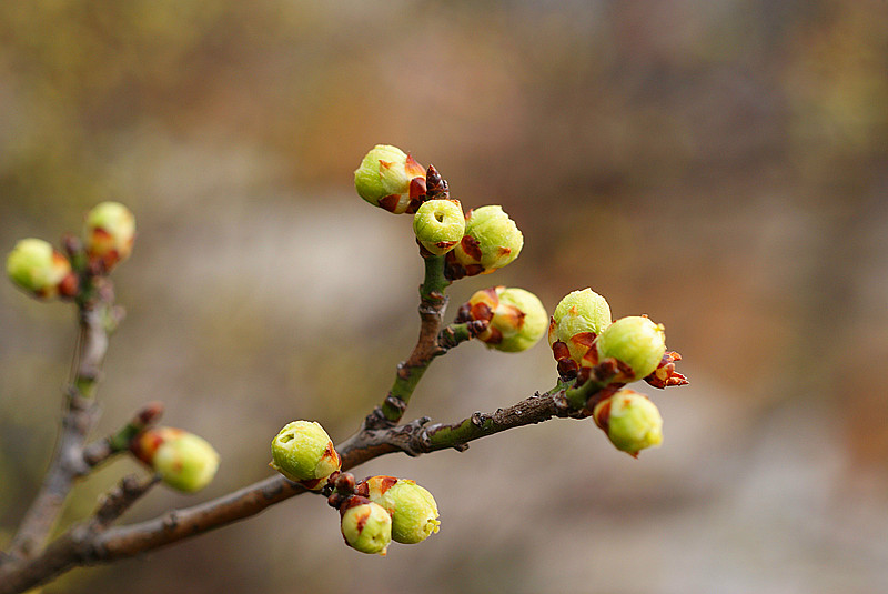 DSC03223_.jpg