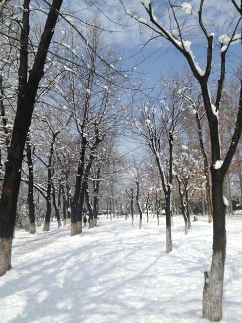 IMG_27150.jpg