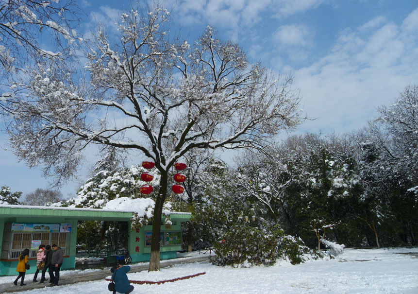 P106025500.jpg