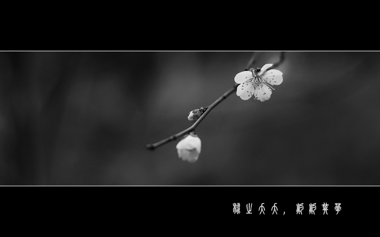 CSC_0086_617.jpg