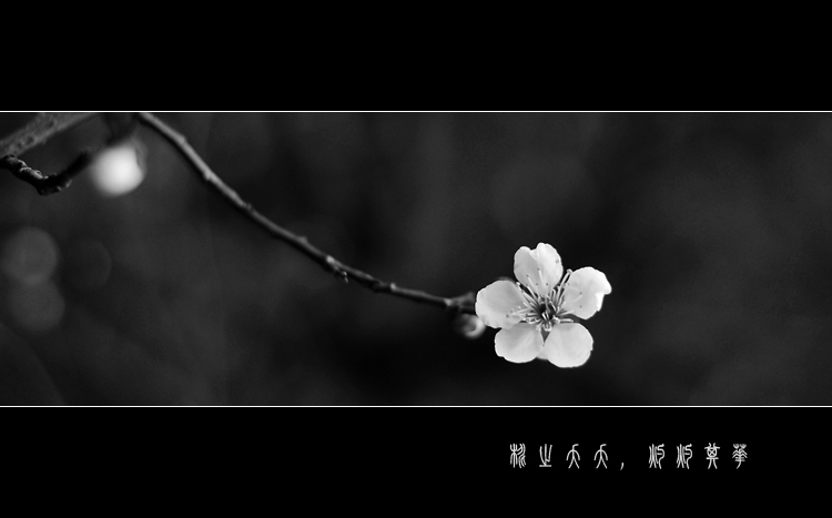 DSC_0057_617.jpg