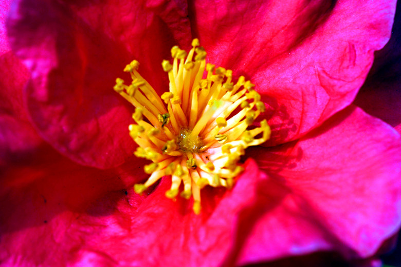 DSC02891_.jpg
