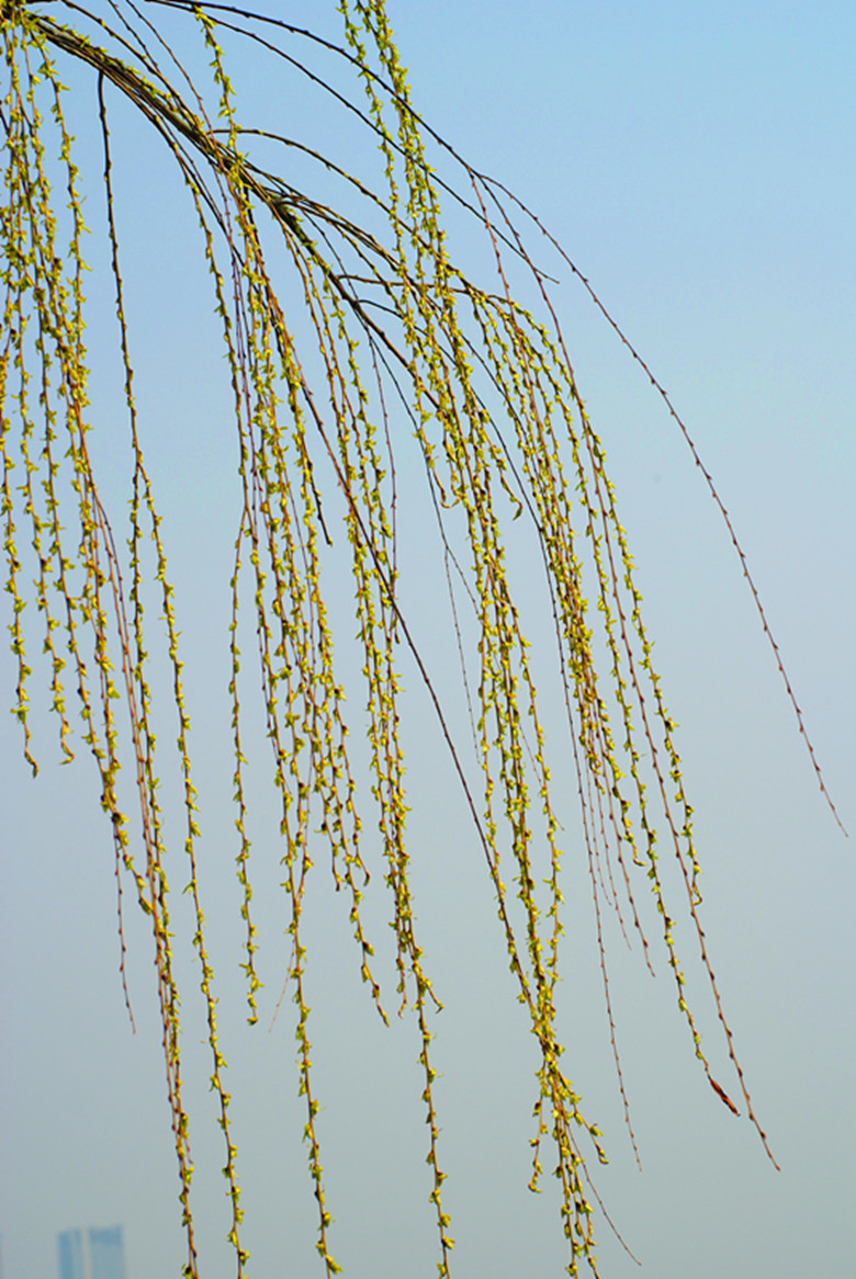 DSC03512_.jpg