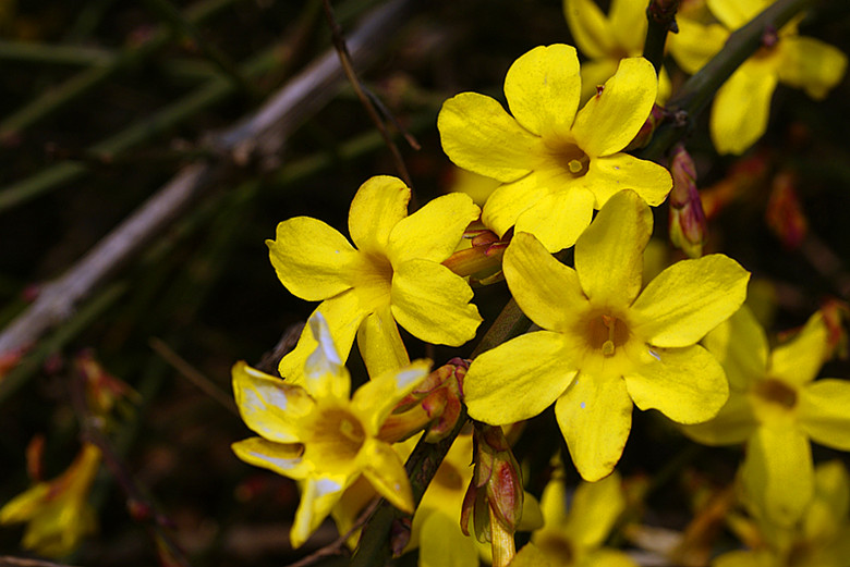 DSC03506_.jpg