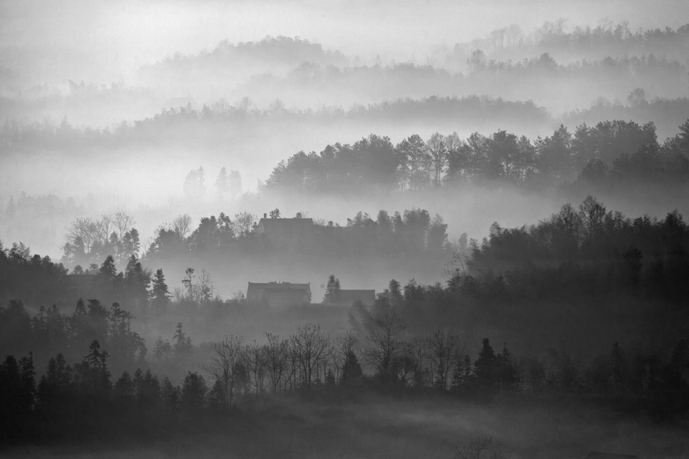 _MG_9031-2.jpg