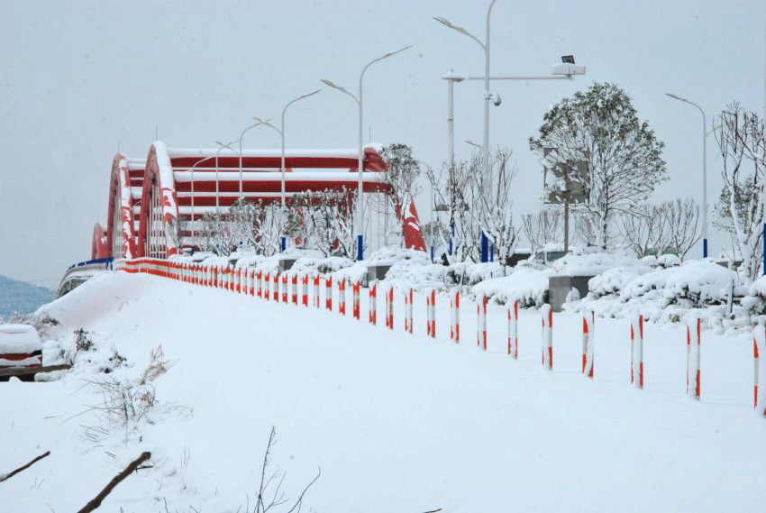 DSC_7512_conew1.JPG