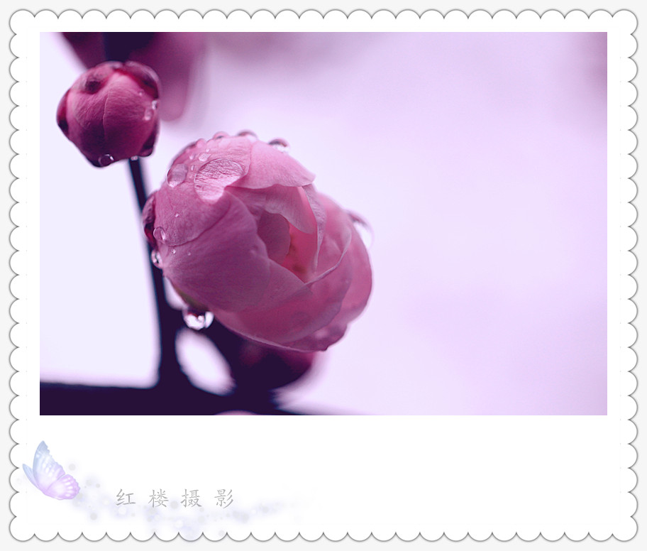 ÷_1092_.jpg