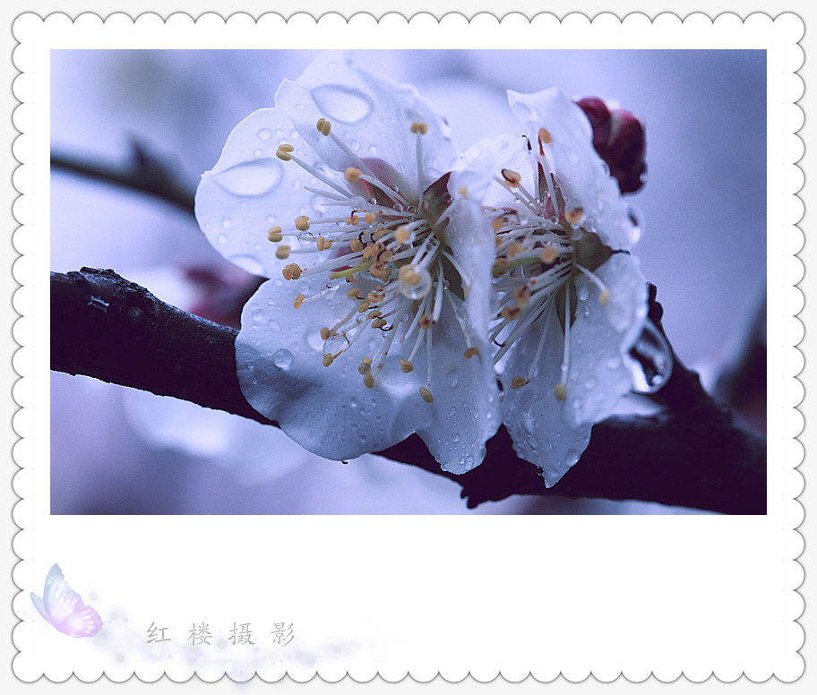 ÷_1042_.jpg