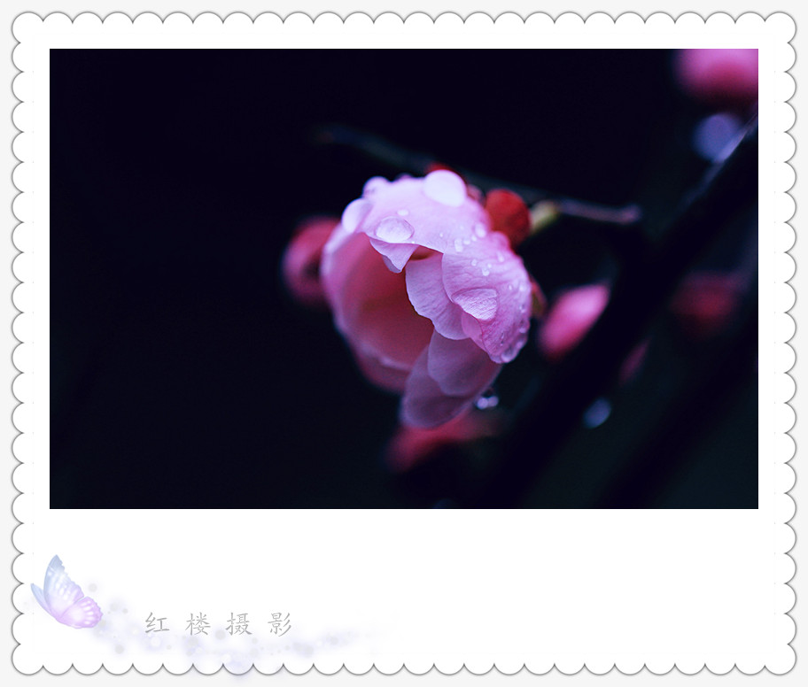÷_1078_.jpg