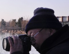 _DSC0008_conew1.JPG