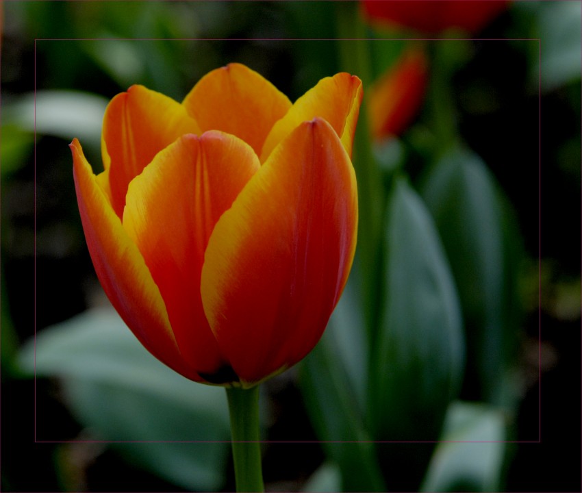 _DSC8854_conew1.JPG