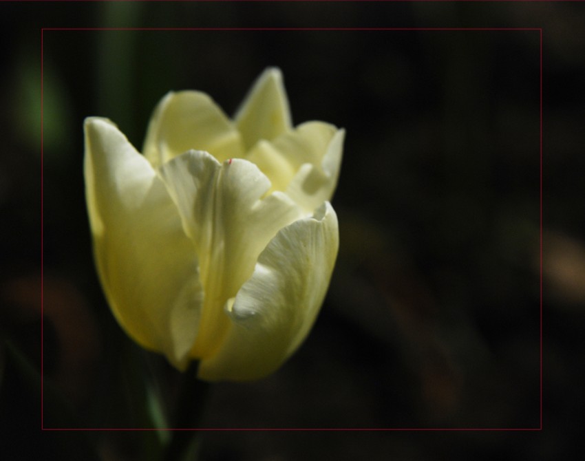 _DSC8865_conew1.JPG