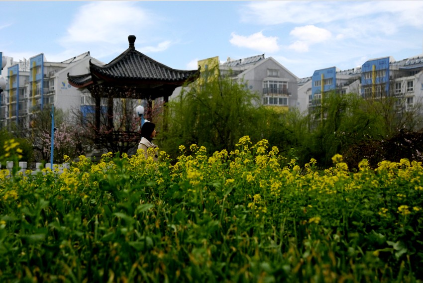 _DSC8908_conew1.JPG
