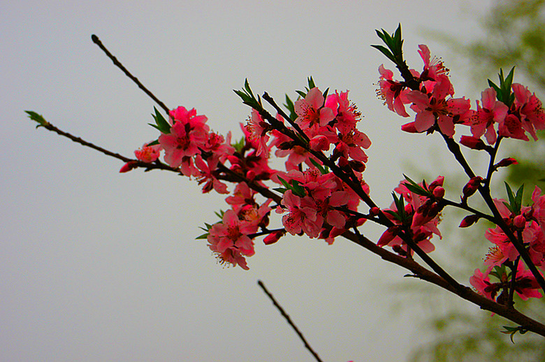 DSC09465_.jpg