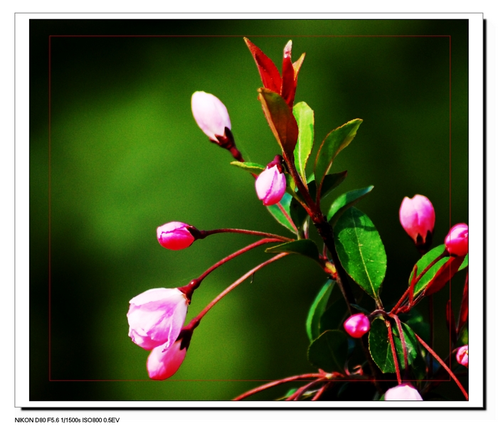 DSC_8989.JPG