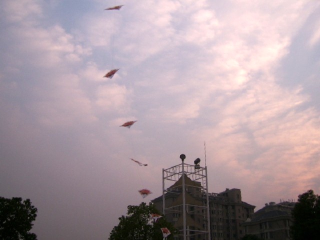 SSA52652_conew1.jpg