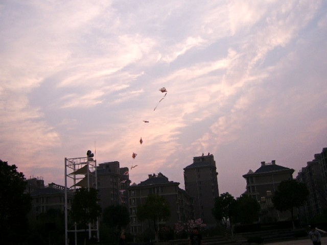 SSA52648_conew1.jpg