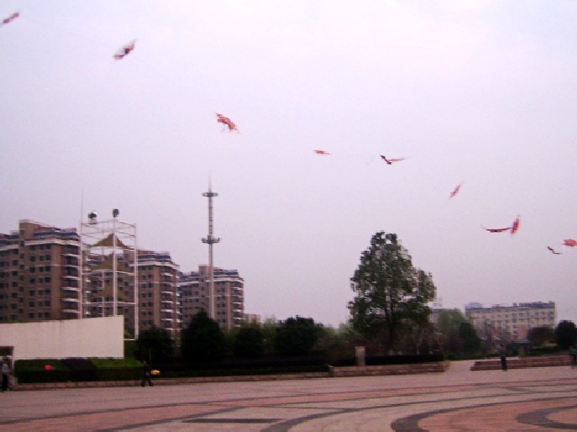 SSA52656_conew1.jpg