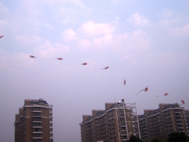 SSA52665_conew1.jpg
