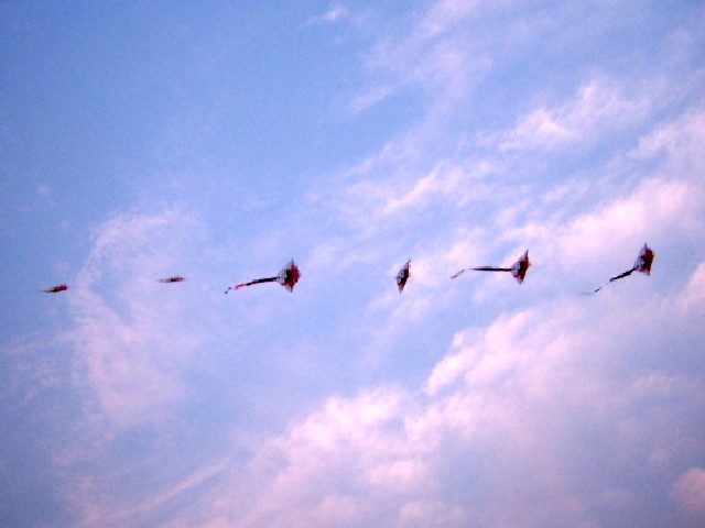 SSA52668_conew1.jpg