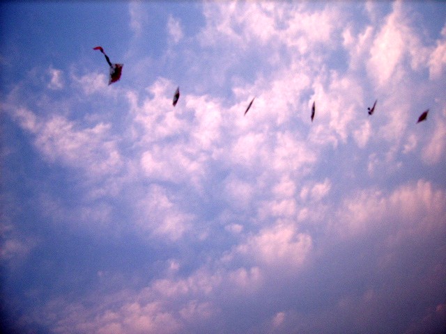 SSA52674_conew1.jpg