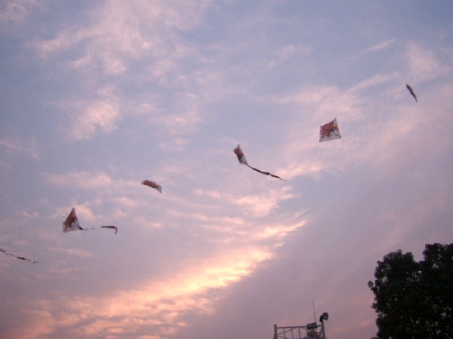 SSA52675_conew1.jpg