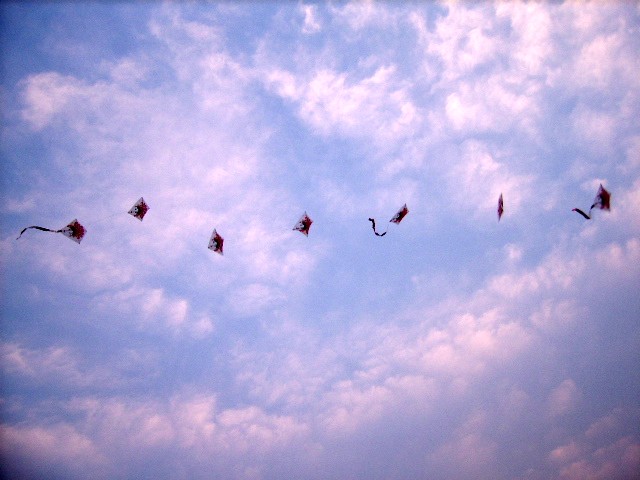 SSA52672_conew1.jpg
