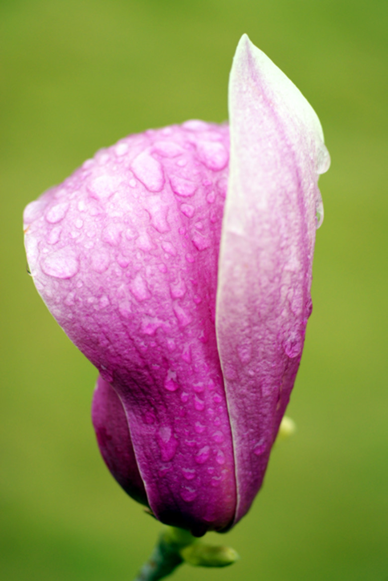 DSC03964_.jpg