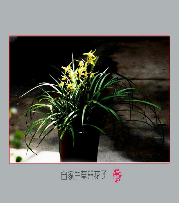 DSC_9213_conew2.JPG