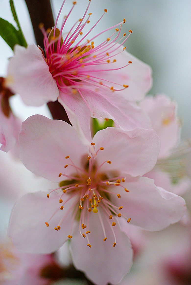 DSC04097_.jpg