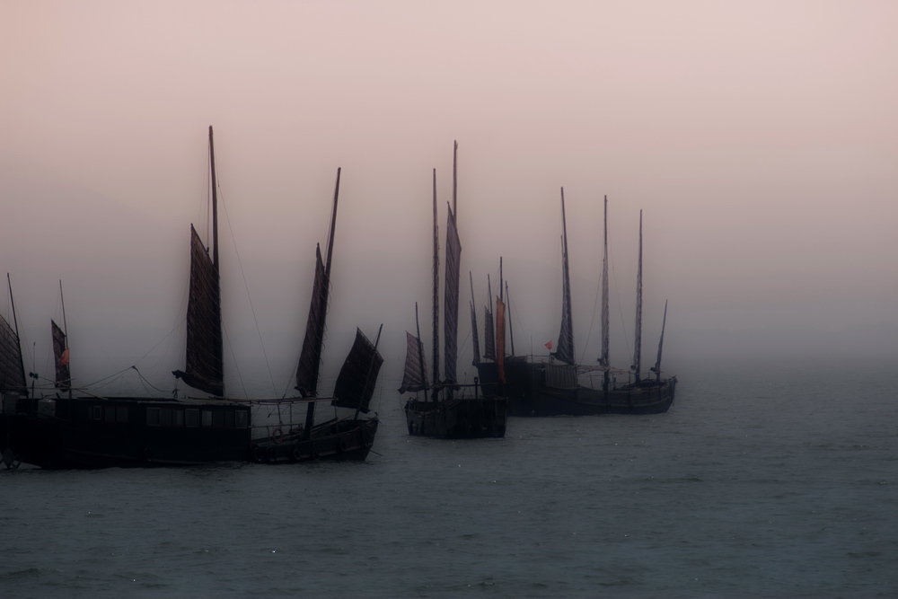 _MG_2033.jpg