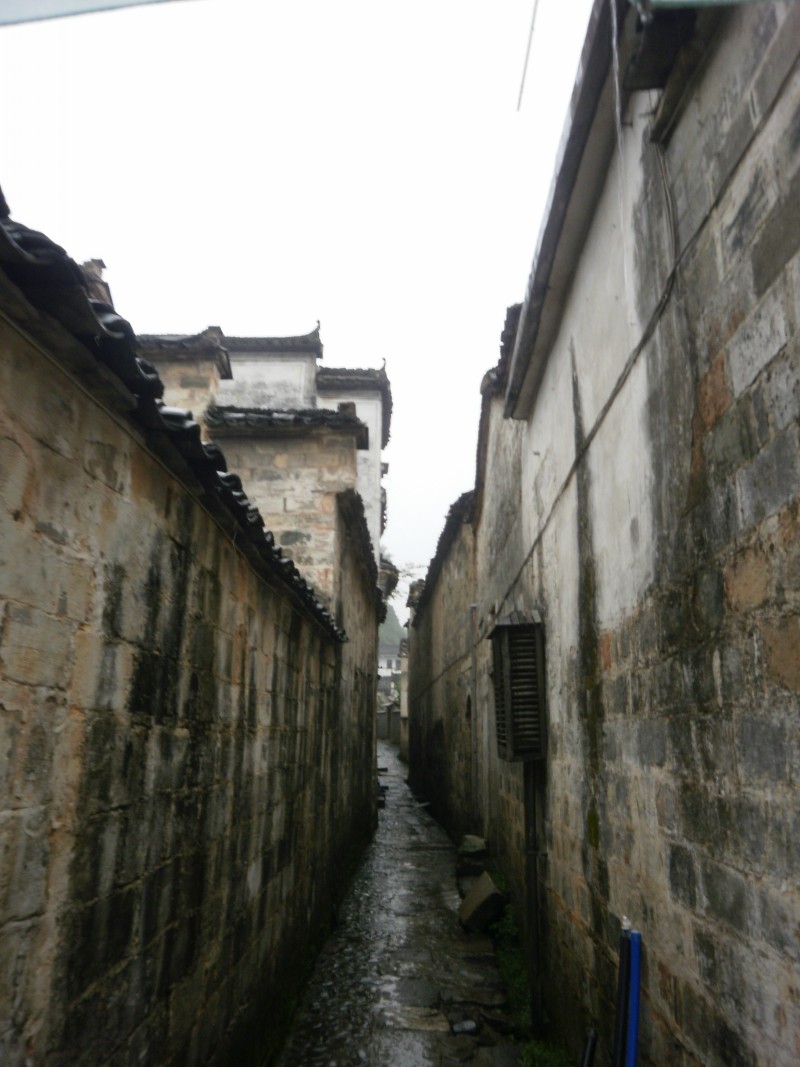 P5170070_conew1.JPG