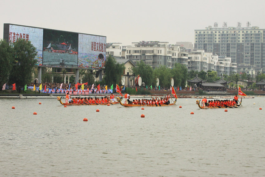 IMG_8599.jpg