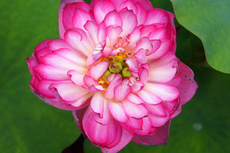 DSC00443_.jpg