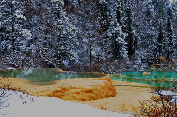 DSC_0264.jpg