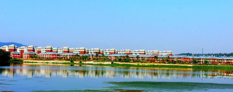 DSC07650_.jpg
