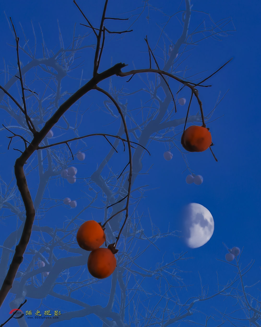 D08C0861-a.jpg