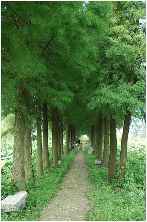 [ԭ��]���������