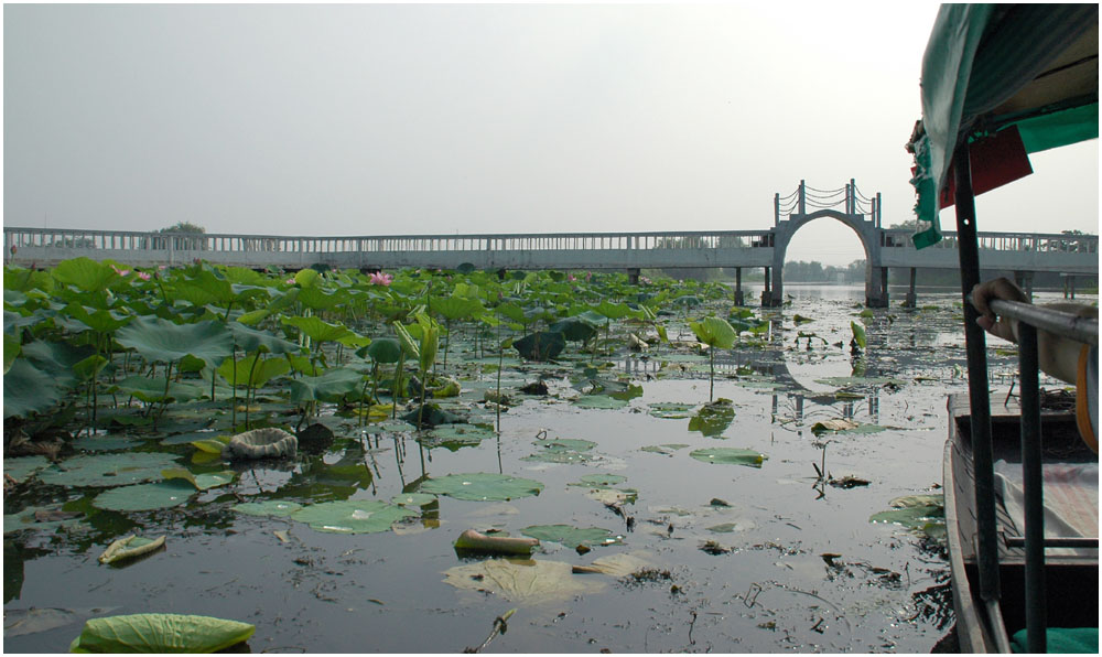 [ԭ��]���������