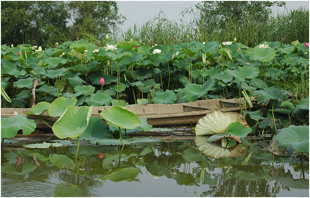 [ԭ��]���������