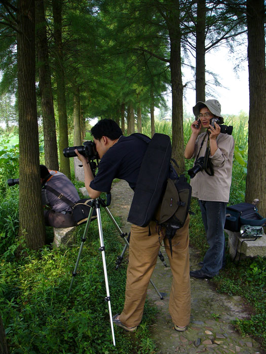 [ԭ��]���������