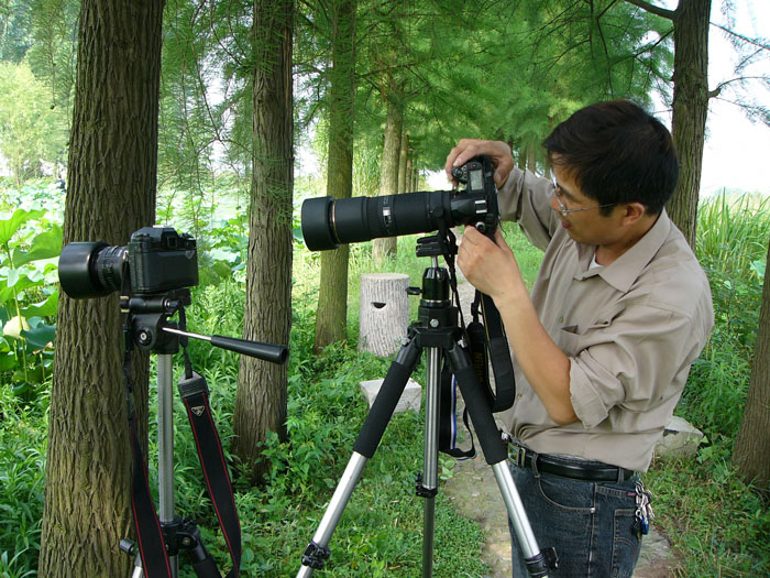 [ԭ��]���������