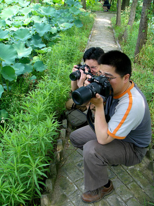 [ԭ��]���������