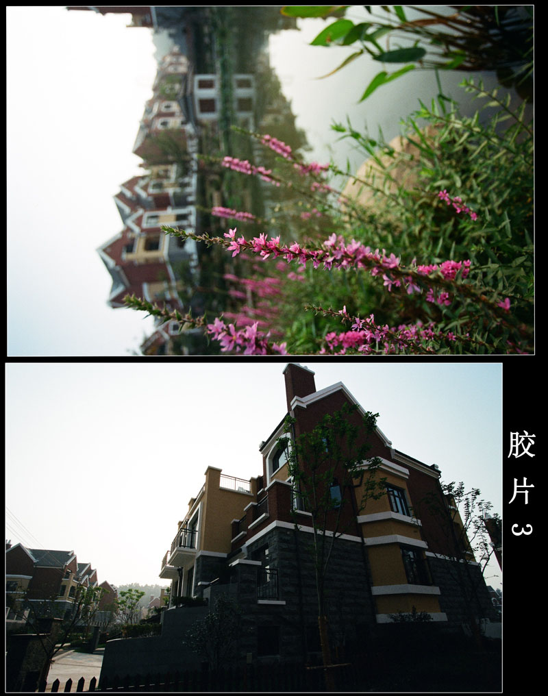 ����԰��СƷ~