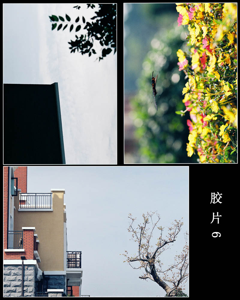 ����԰��СƷ~