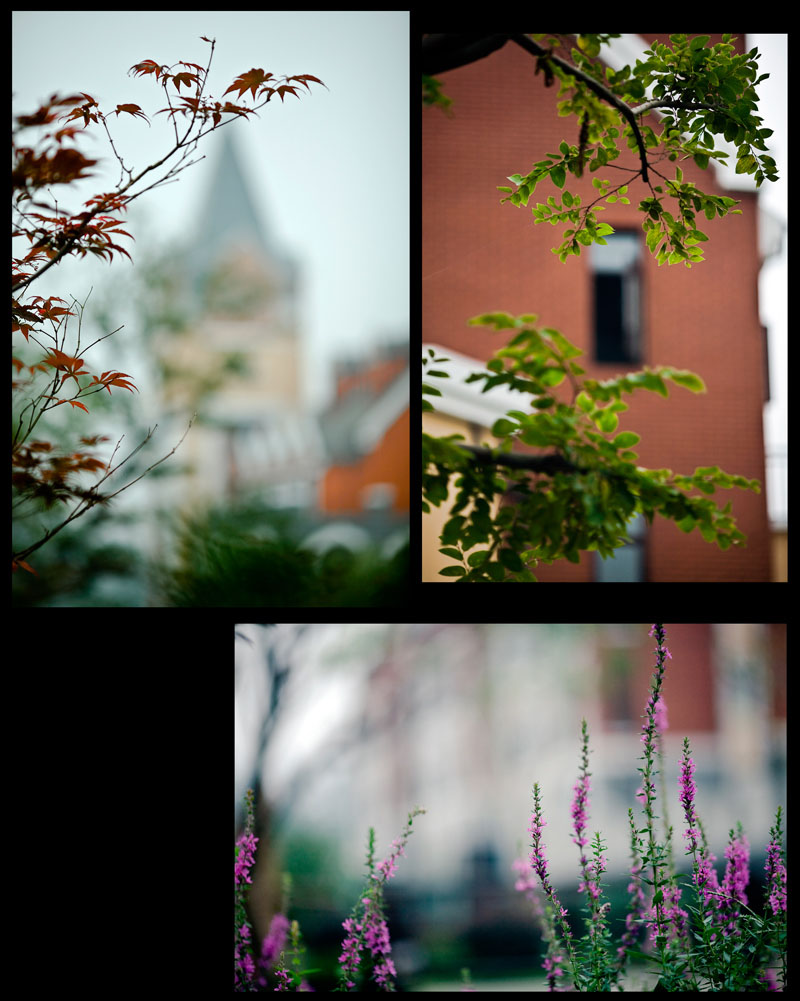 ����԰��СƷ~