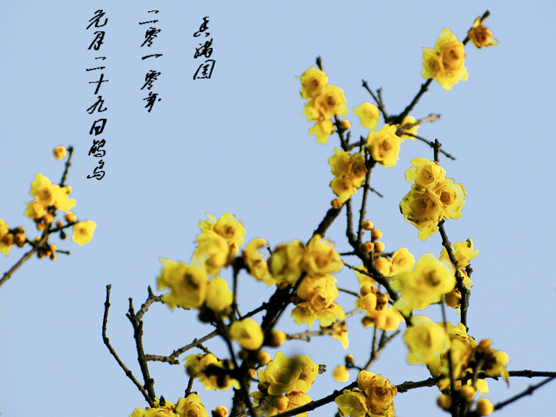IMG_8581x.jpg