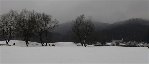 _MG_2074.jpg
