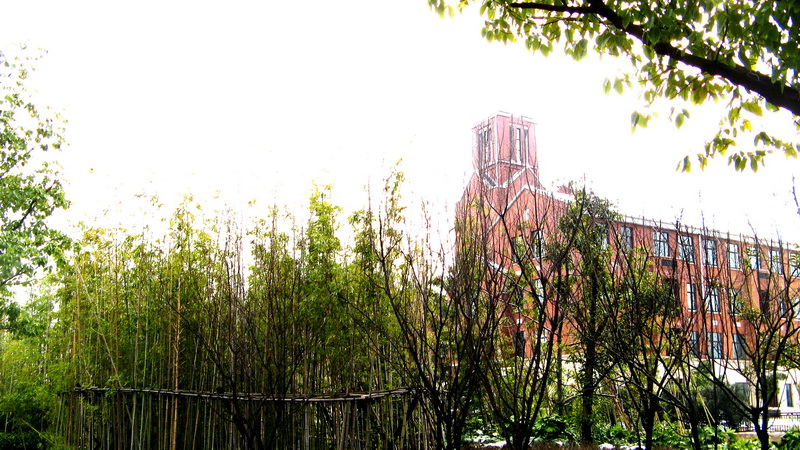 2010ϲƬ_0086.jpg